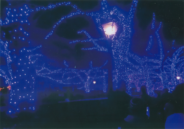 青一色できれいです