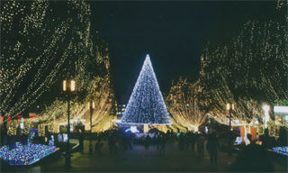 パルテノン多摩のライトアップ