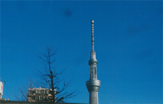 スカイツリーも見えました