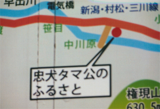 「忠犬タマ公」のふるさとです