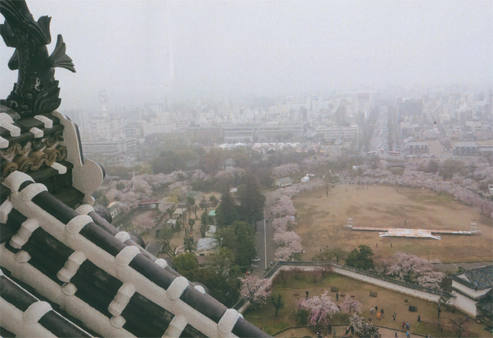 姫路市内が一望出来ます