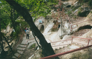 中まで入れます