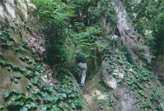 さらに上に登ります
