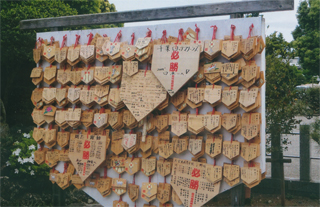 野球ファンの「祈り」が…