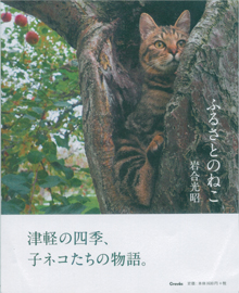 「アートアクアリウム」を見た