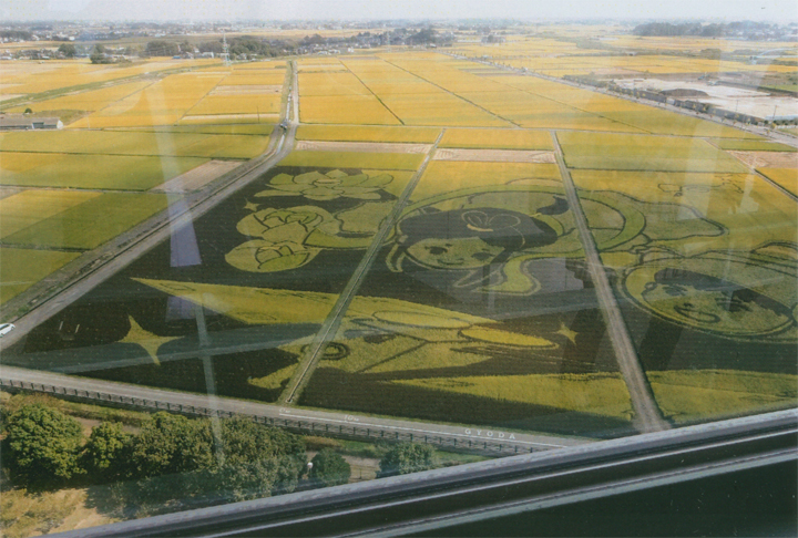 これが「田んぼアート」です