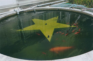 この池も鯉も見てました