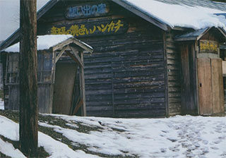 「幸せの黄色いハンカチ」です