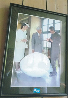 天皇・皇后両陛下もおいでになられた